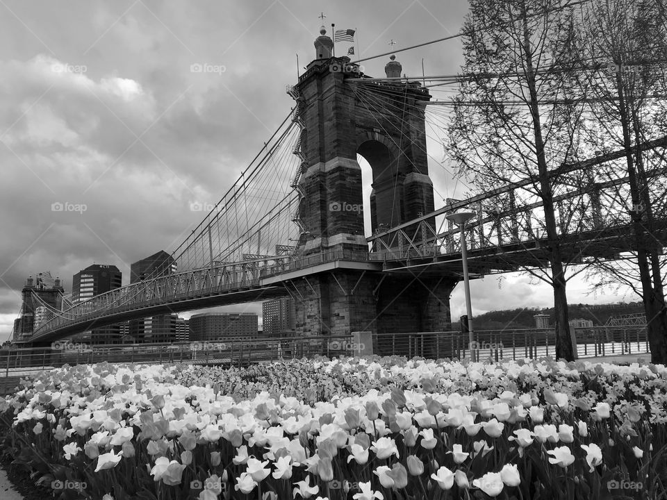 Roebling Bridge, Cincinnati 