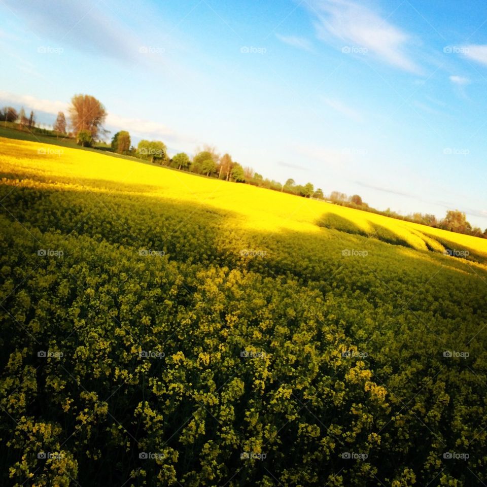 Summer is on it's way