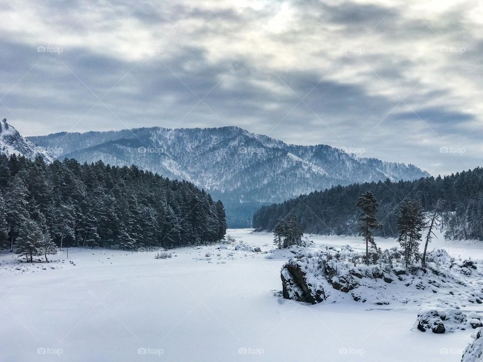 Snowy winter landscape 