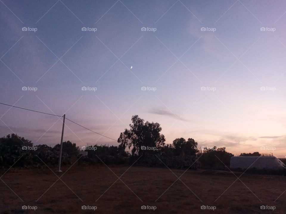 moon 🌙