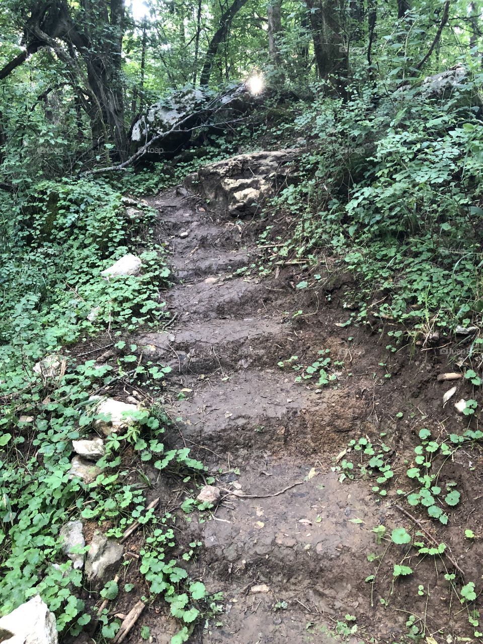 Trail