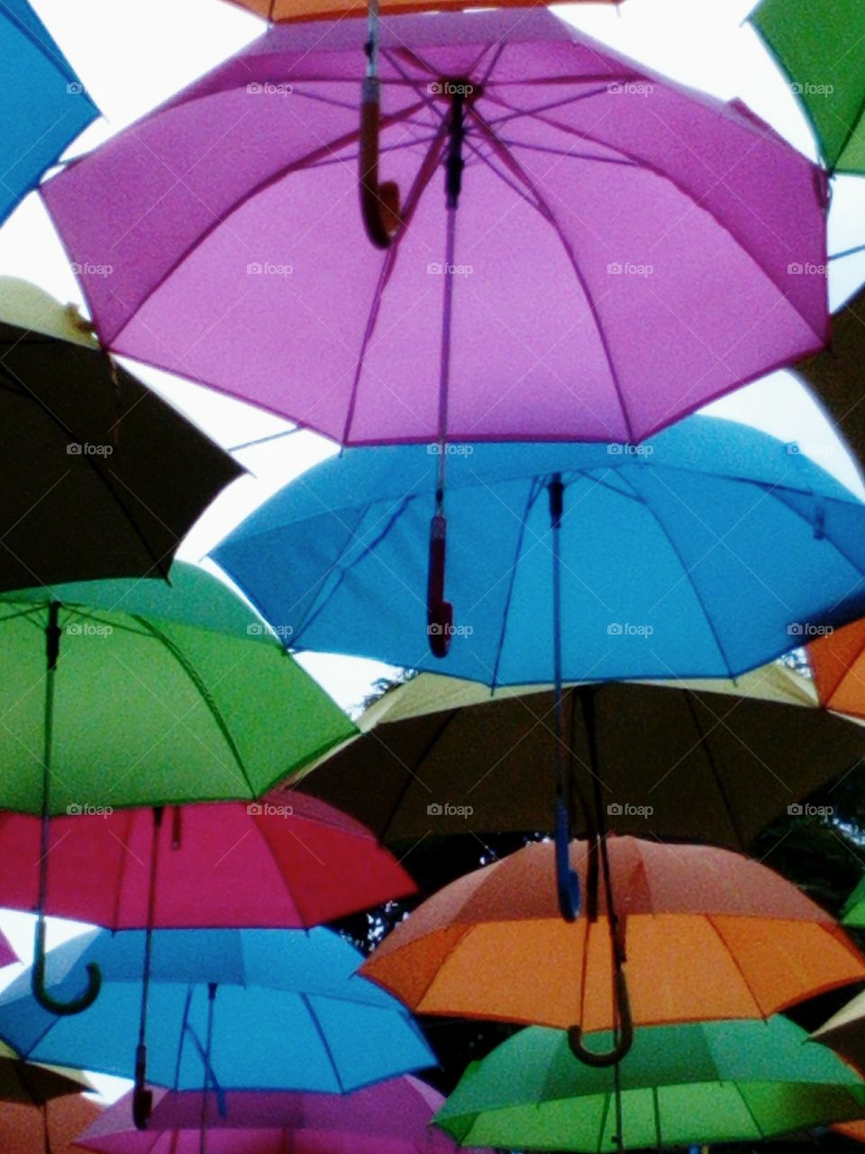 Colorful Umbrella Roof