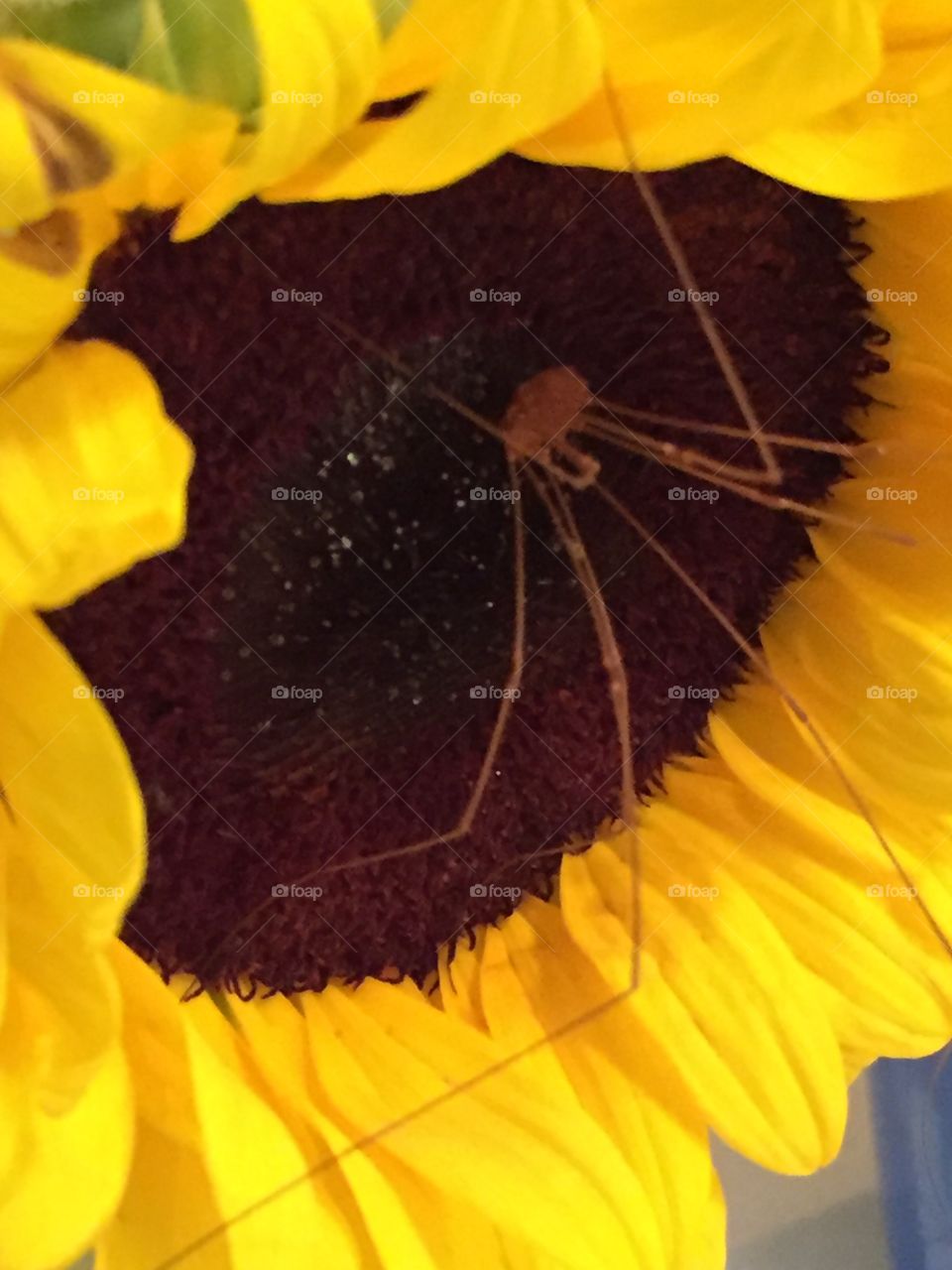 Bugs can make or break your day