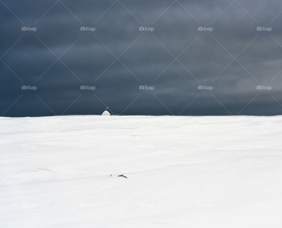 Winter scene divide equally to snow and blue sky execpt for small small mound tipping the scale for white.