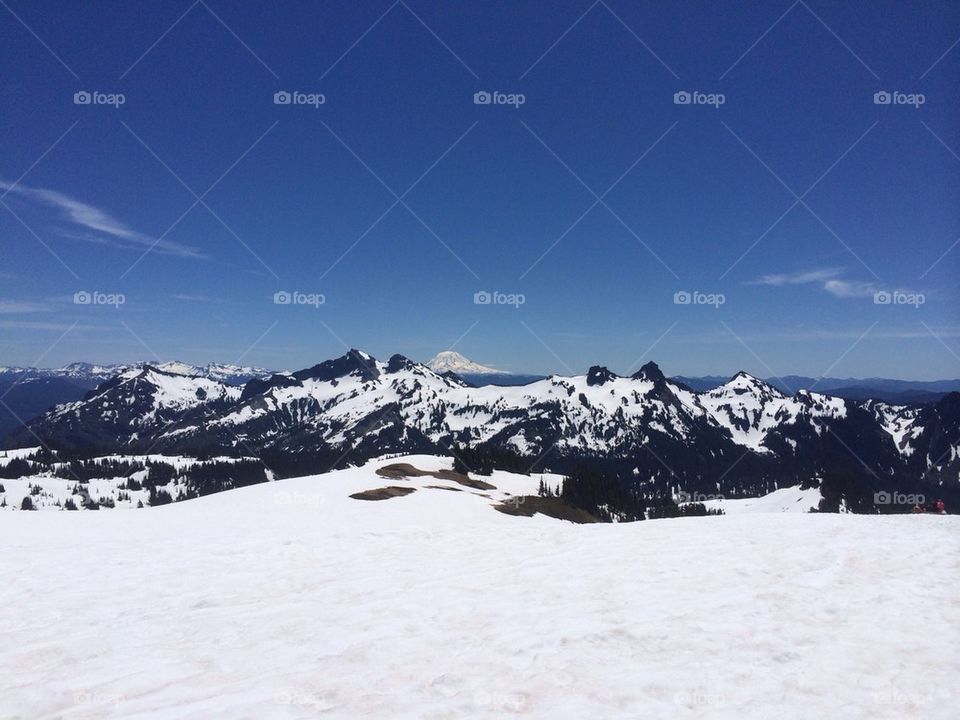 View from Mt. Rainier