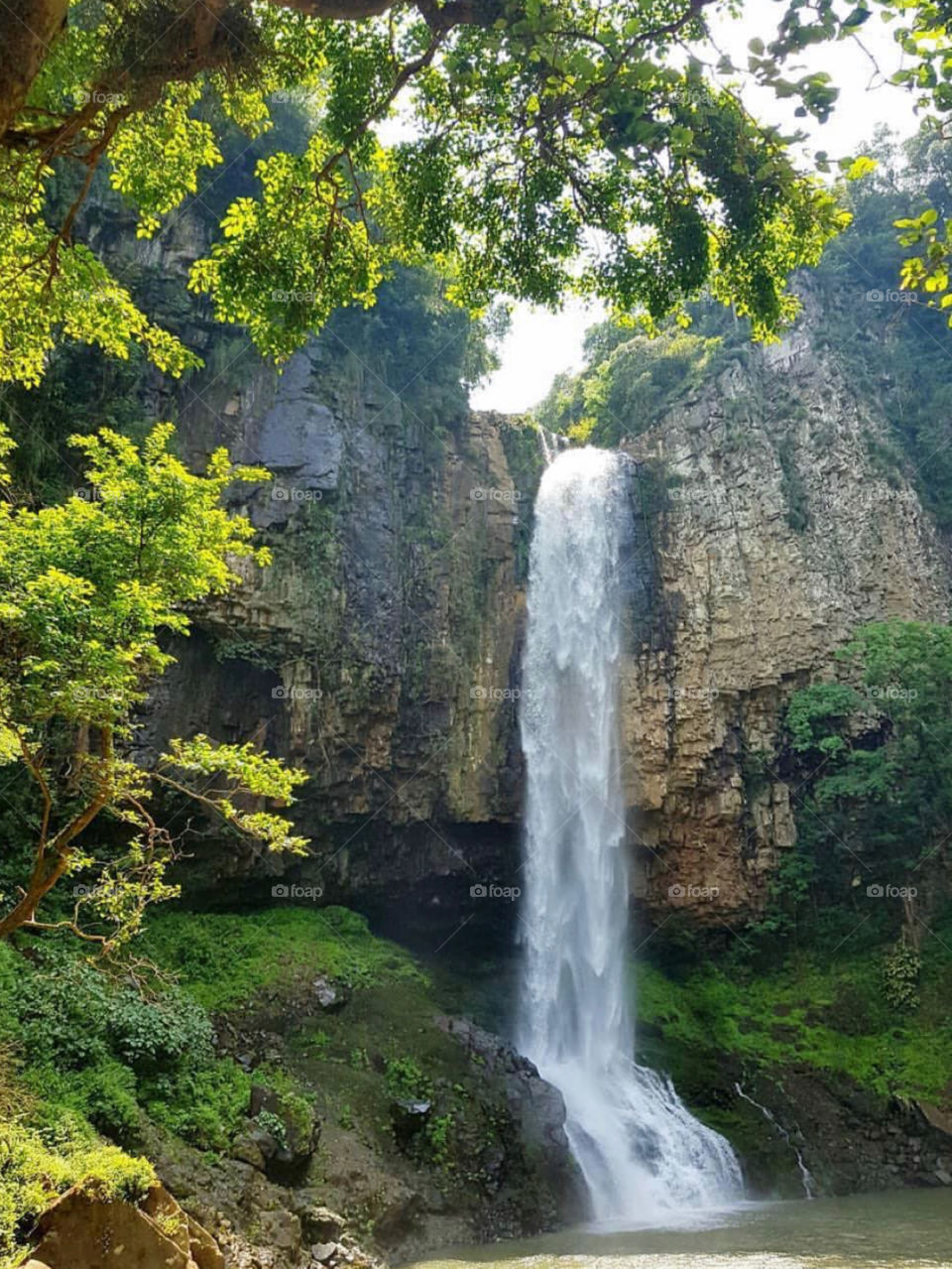 Brazilian paradise world