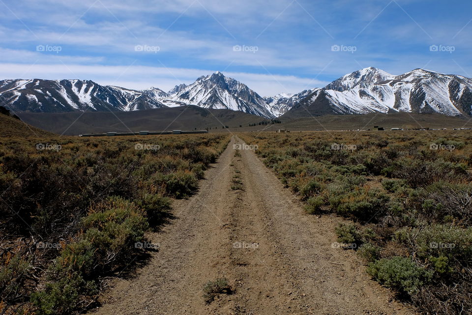 View of dirt road