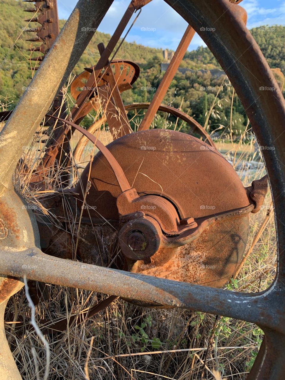 Ancient agricultural tool abandoned in a field in the Umbrian countryside