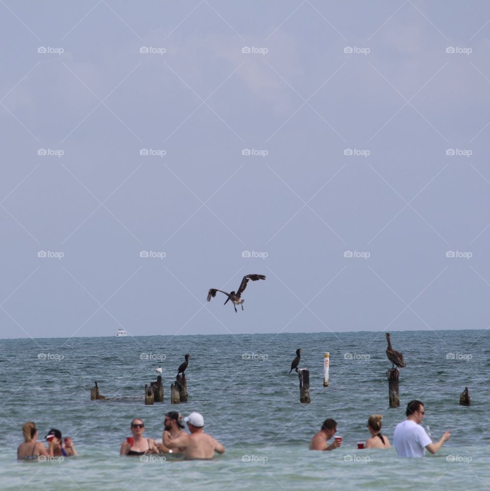 People in Ocean