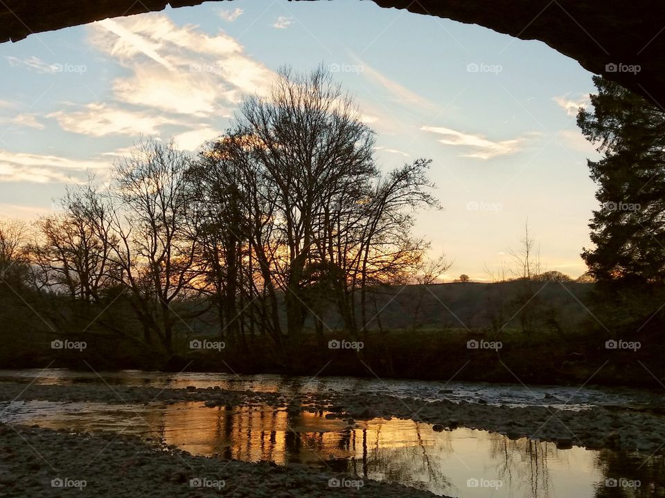 Water, Tree, Landscape, No Person, Dawn