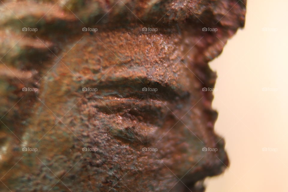 No Person, Abstract, Nature, Texture, Closeup