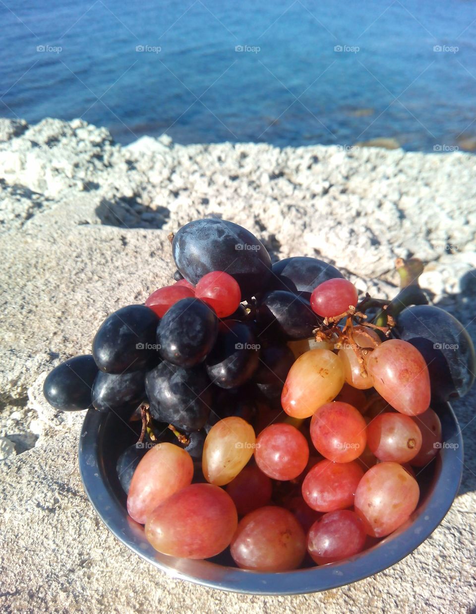 Summer, Sea, Seashore, Nature, No Person