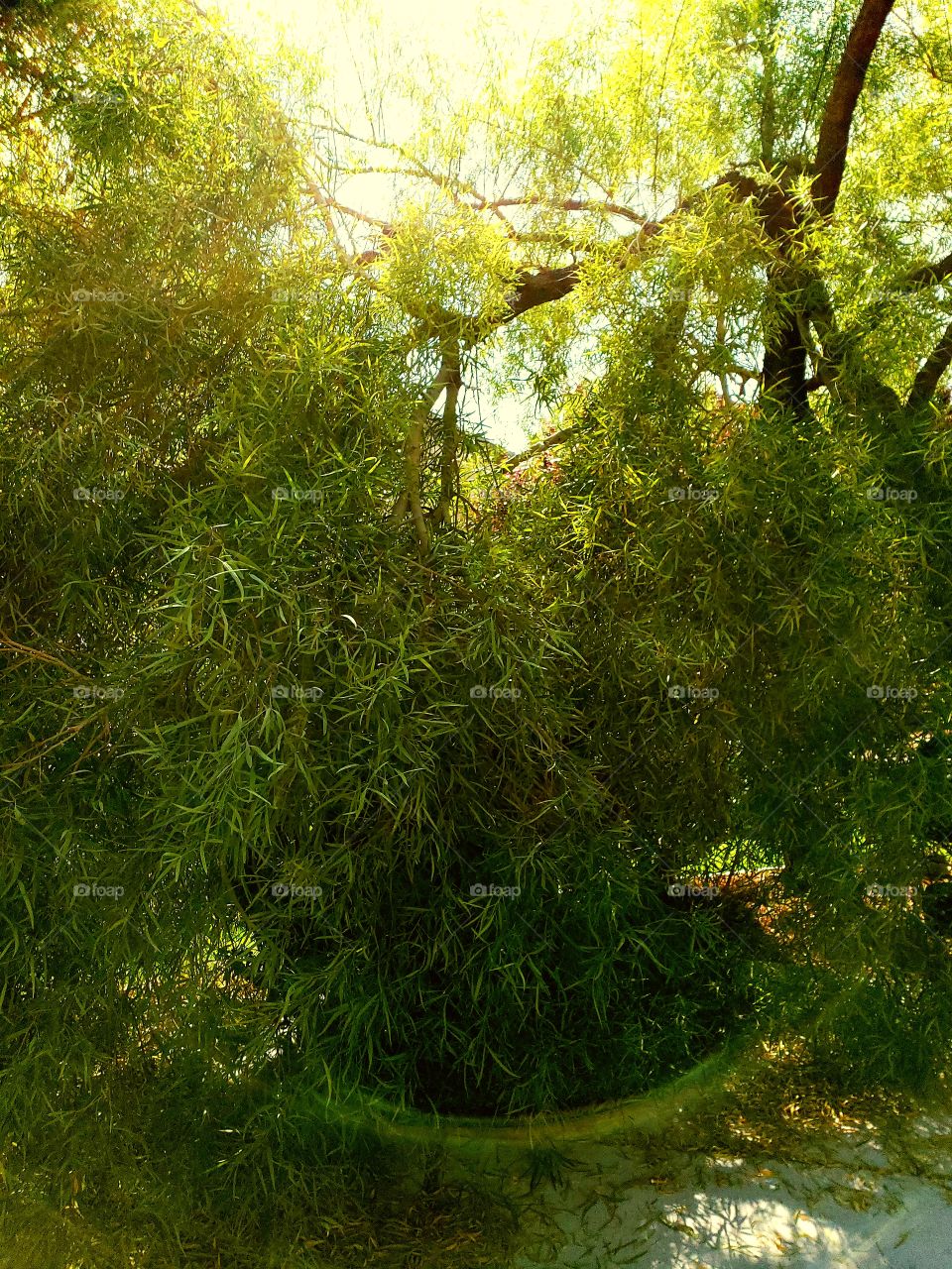 Broken but still beautiful