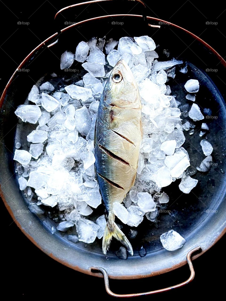 Mackerel fish getting ready for meal.