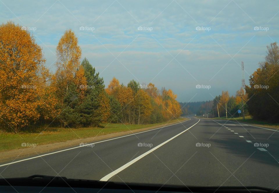 autumn landscape and road