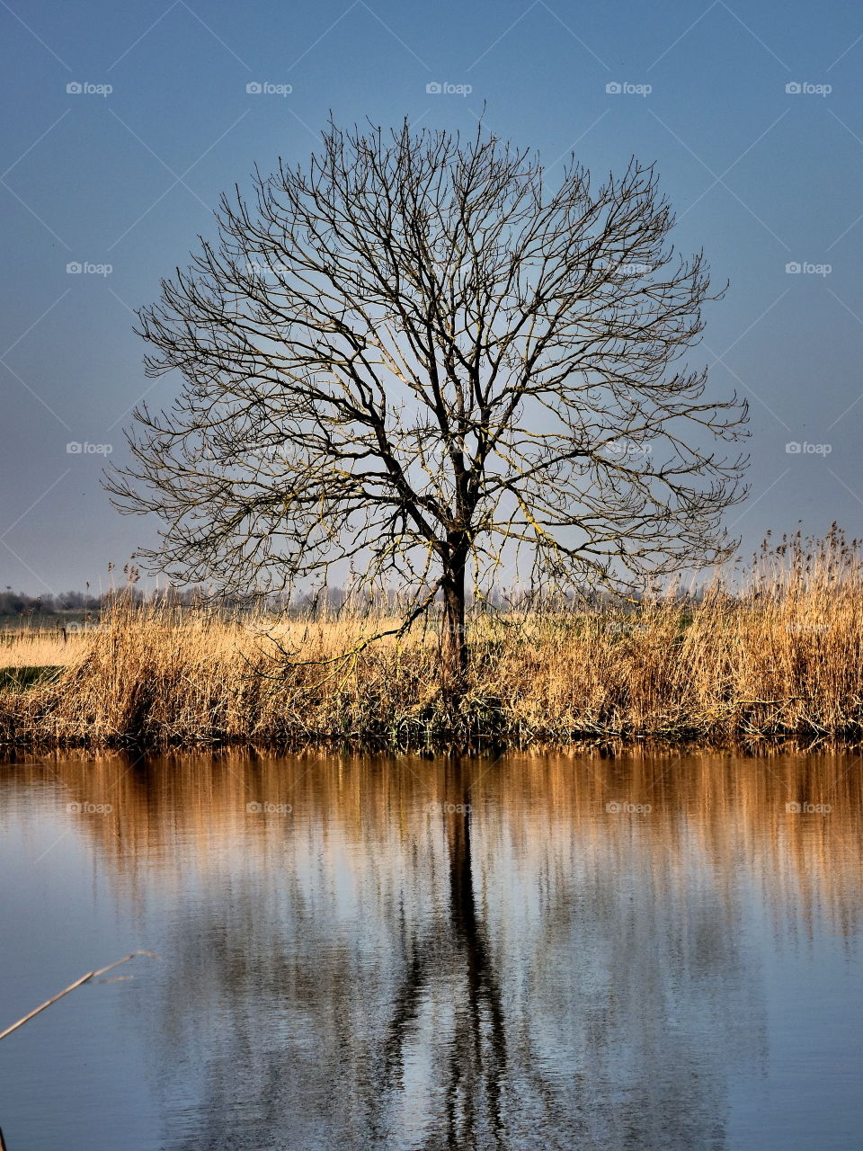 lonly three in the river