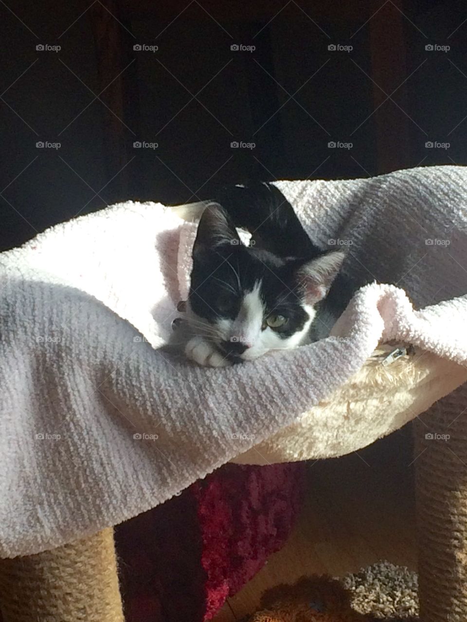 I love when she models for me