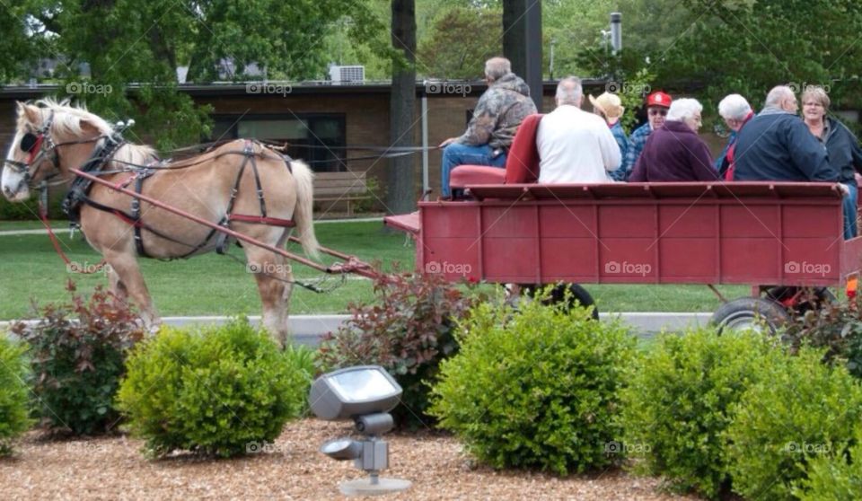 Senior citizens : western days. Western days at a senior citizen assistive living center . Seniors out on a horse and buggy ride.