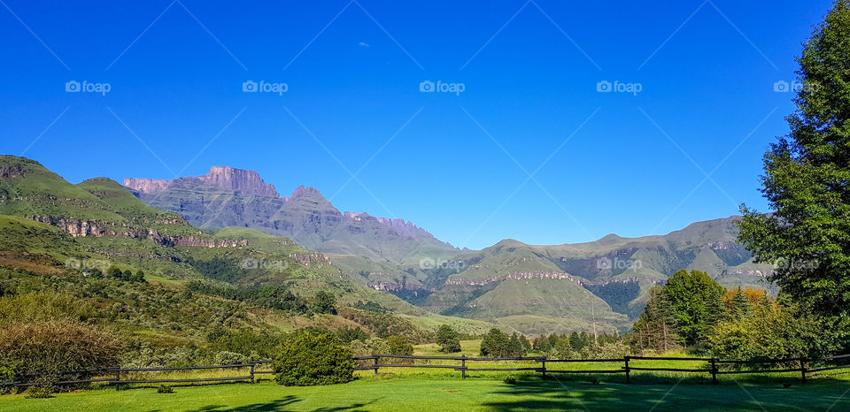 View of the majestic Drakensberg Mountains in KwaZulu-Natal, South Africa on a beautiful summer's day