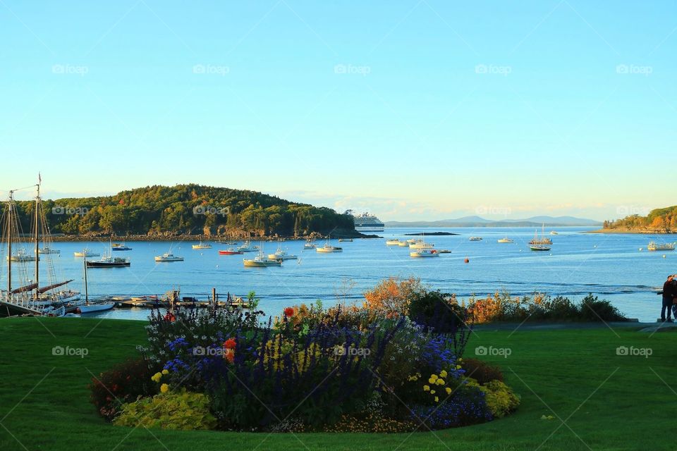 A view of Bar Harbor 