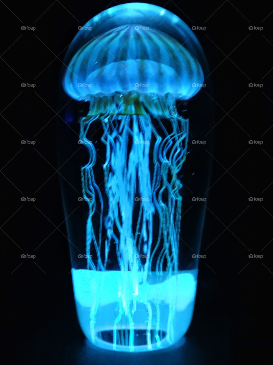 Glowing Jellyfish