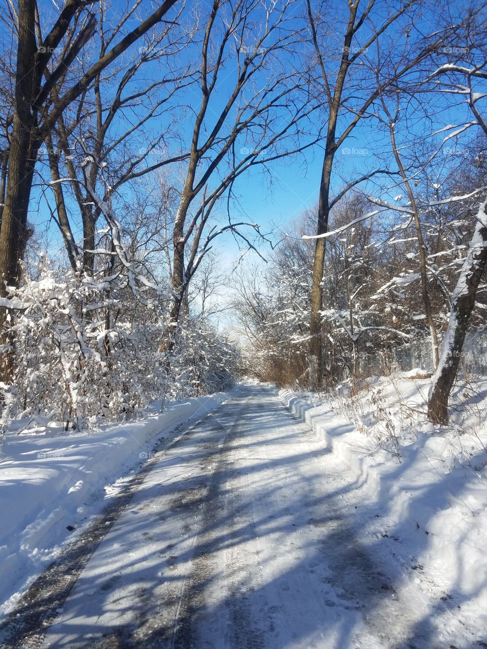 walk in the park