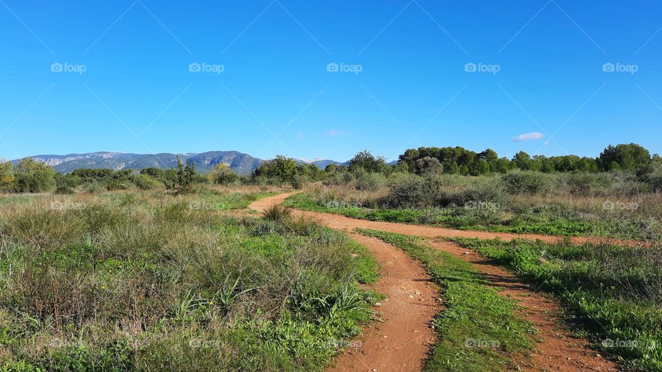 Rural dirt path surrounded by grass and bushes, leading to the distant mountains, with a clear blue sky. Marratxi (Majorca), Spain