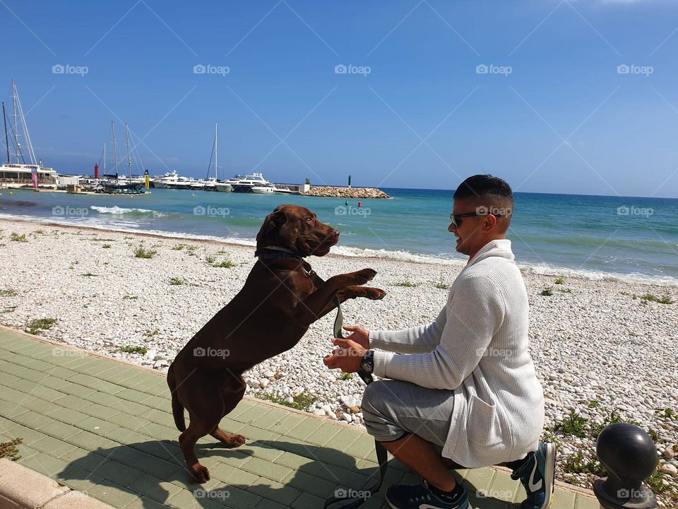 Beach#human#dog#sea