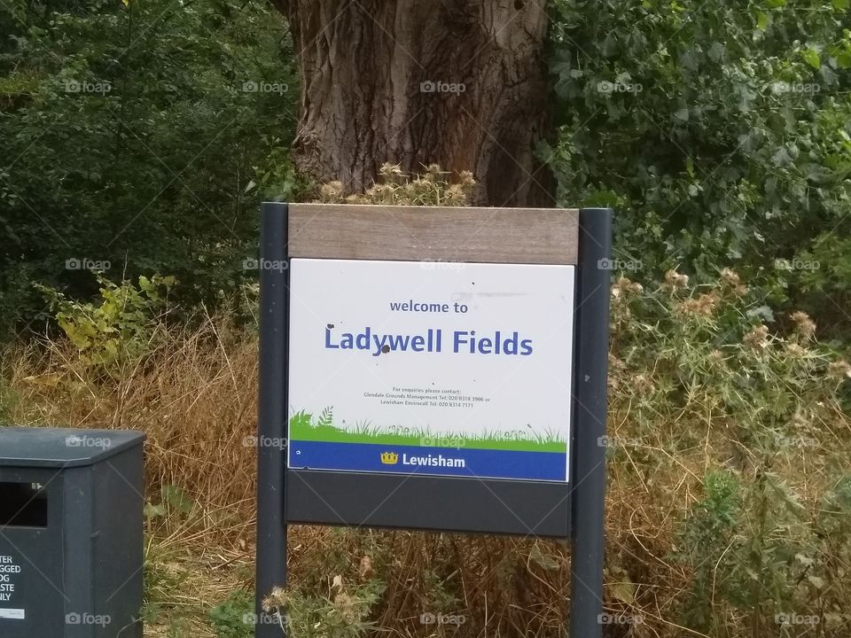 Ladywell