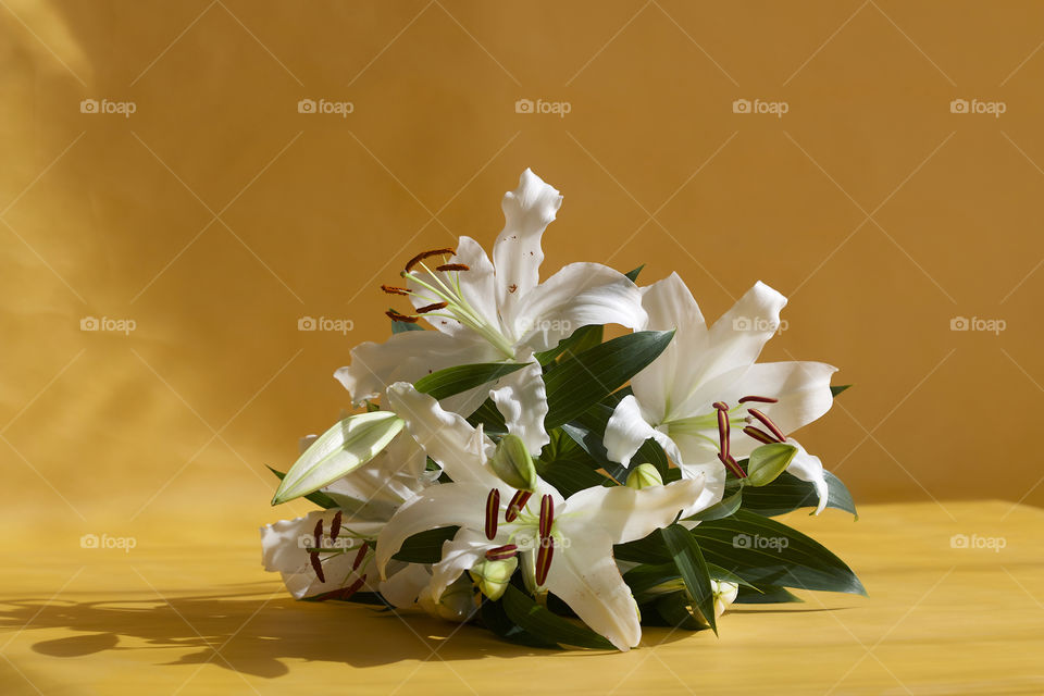 white lilies