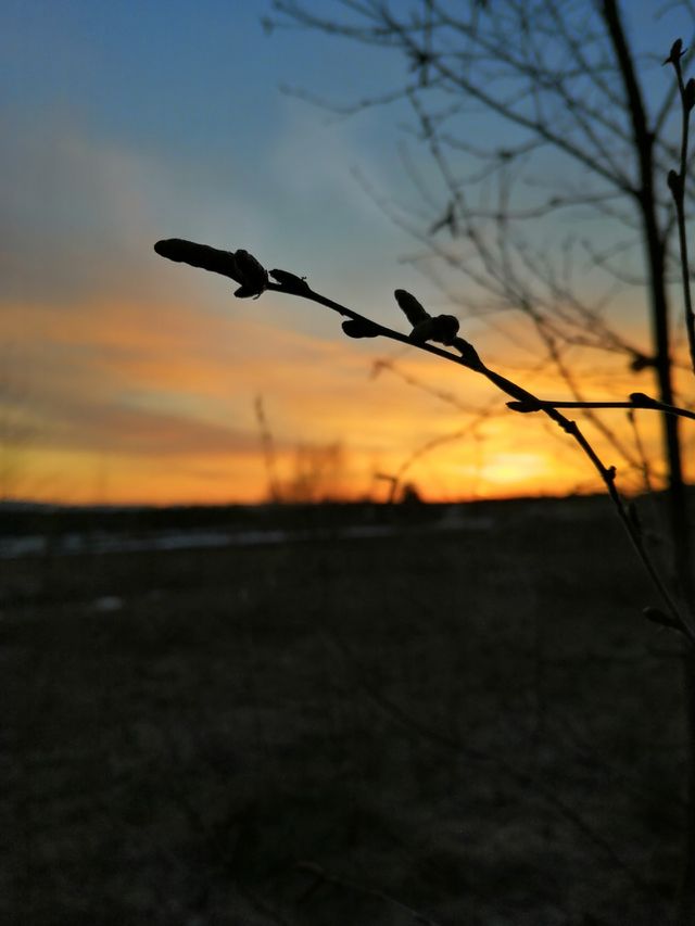 sunset