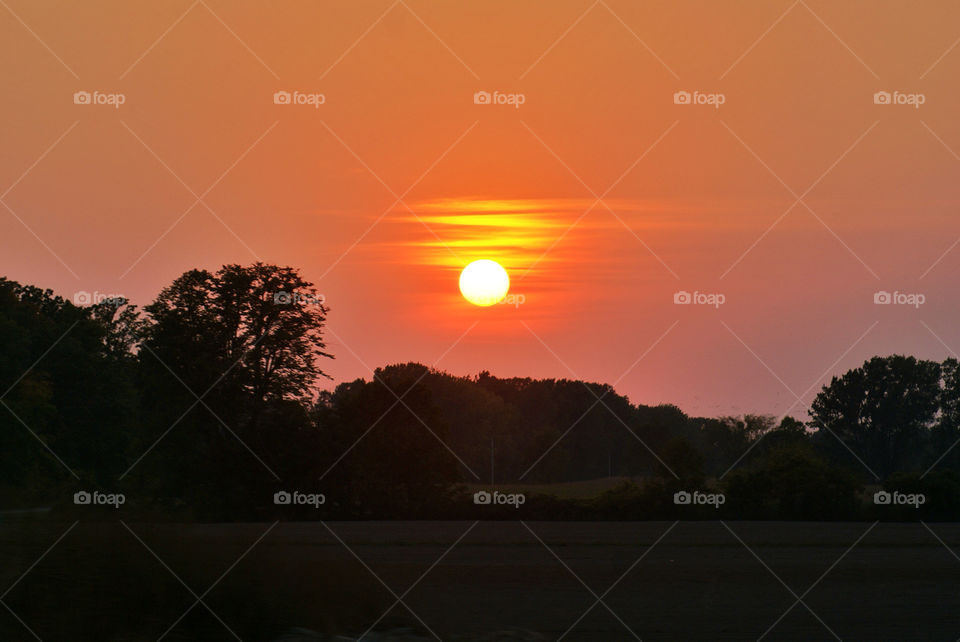 twilight sky field yellow by somebeach