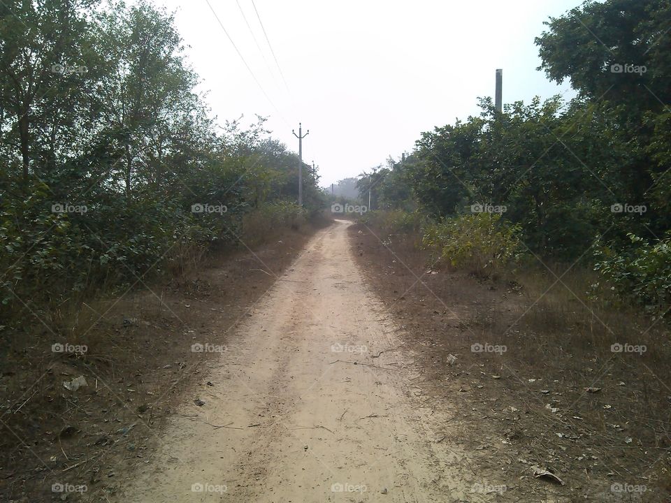 way to peace 🕊️