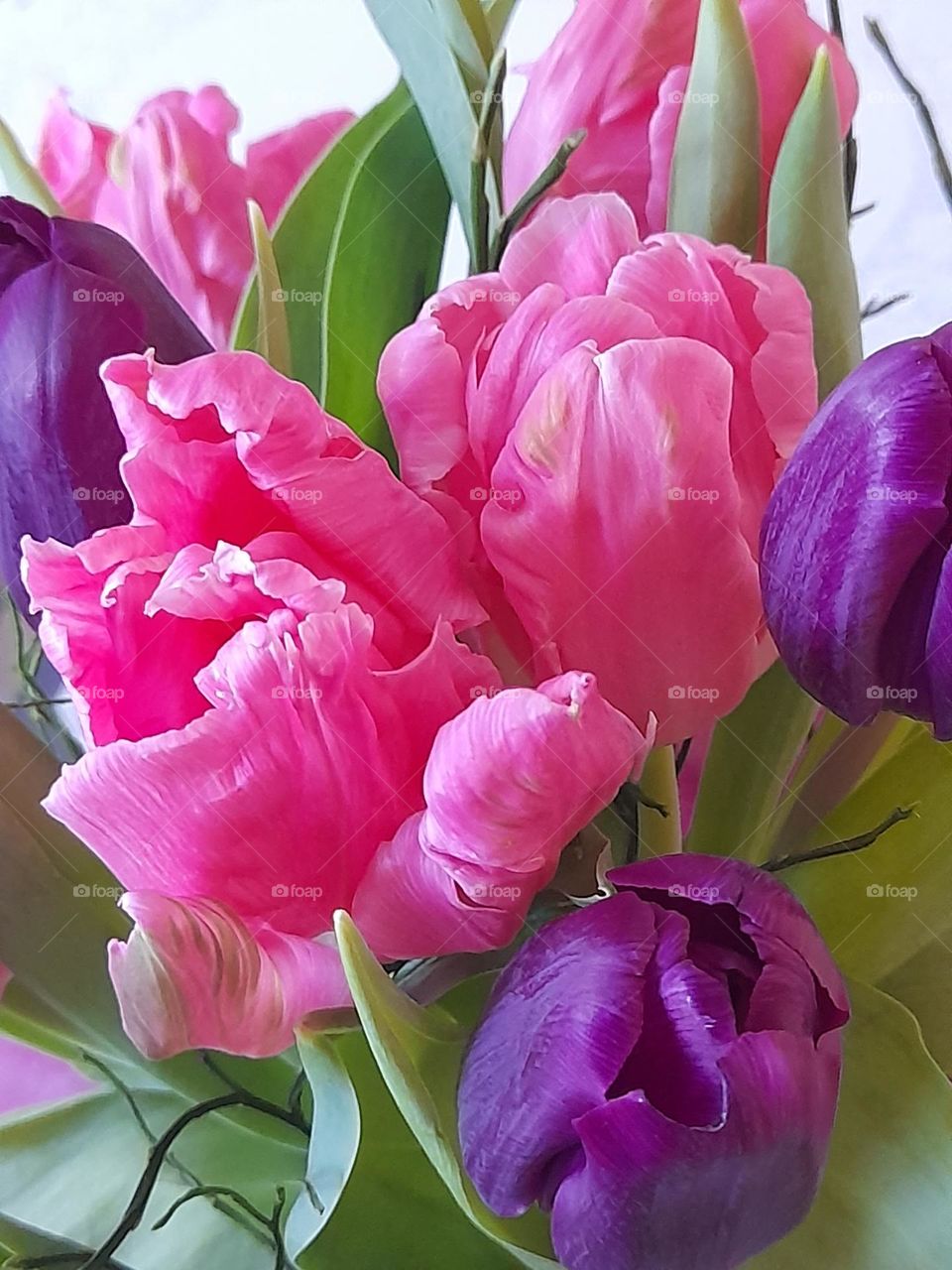 Farbenfrohe Tulpen