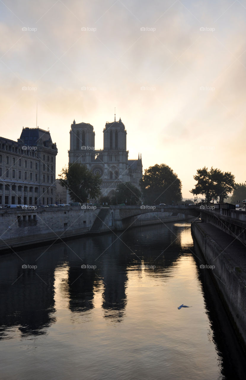 Paris reflection