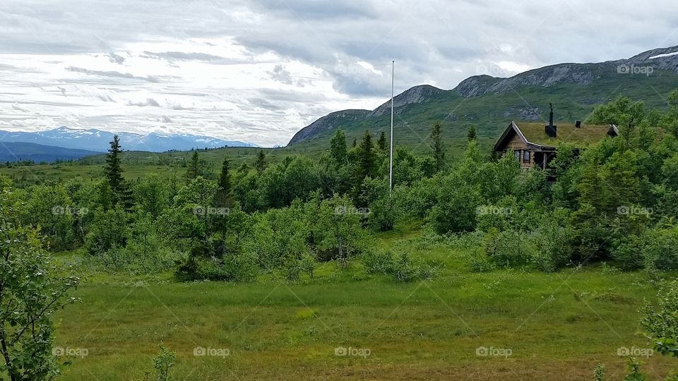 Mountain summer