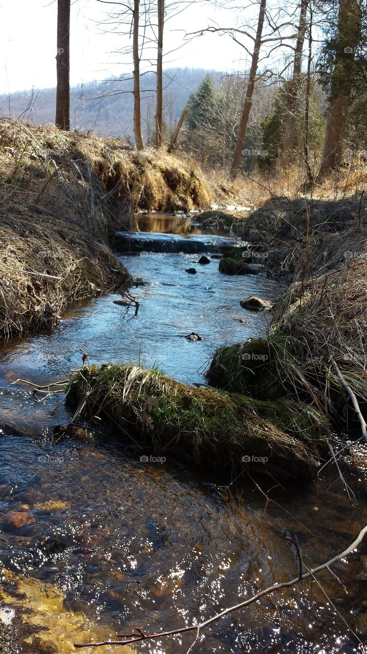 creek with mountain view