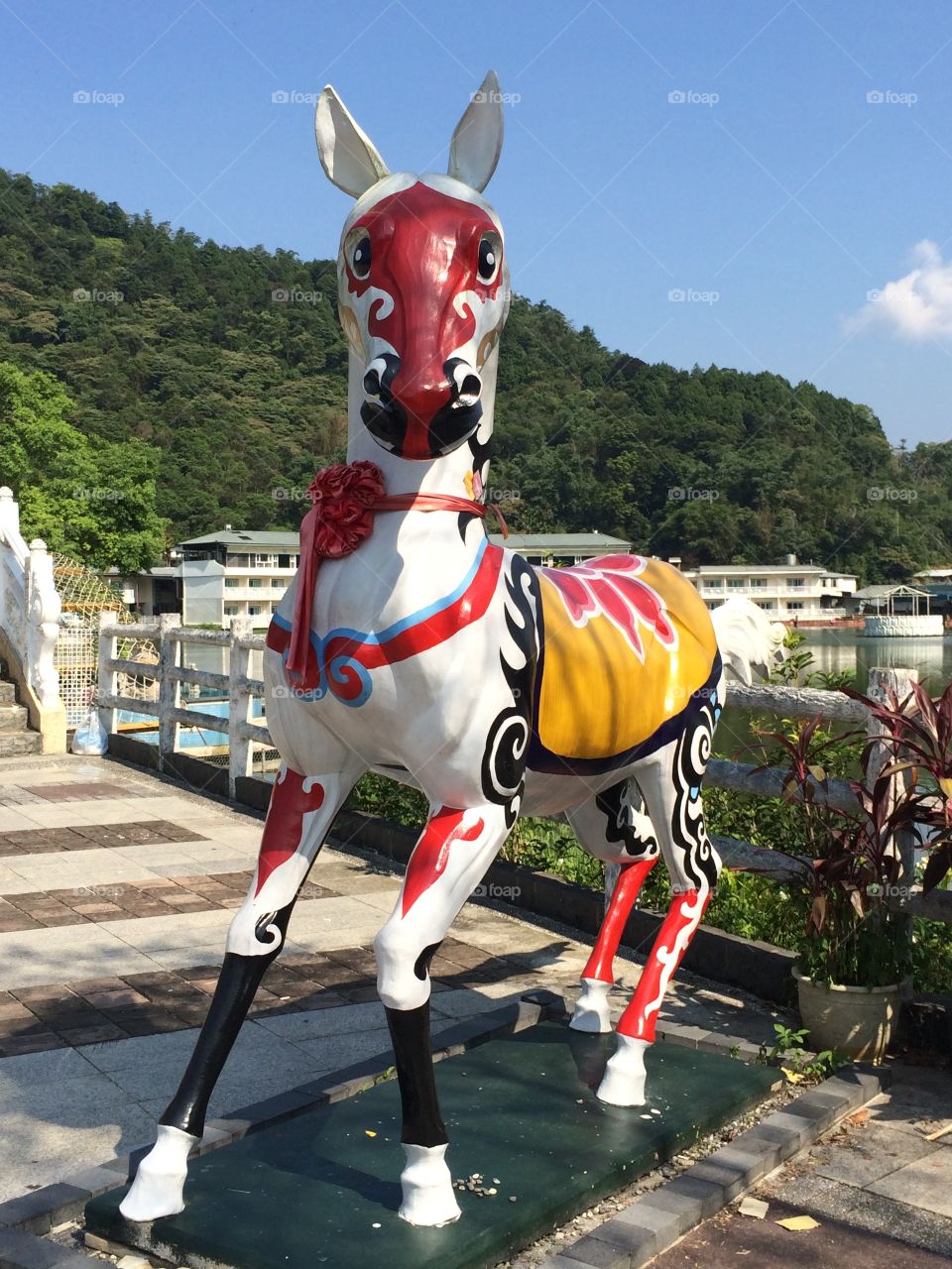 What are you looking at?