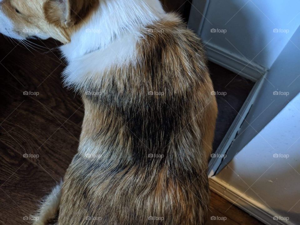 Did you see something on my back? Lol