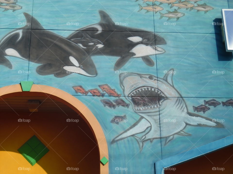 shark tank. This is a picture of a cool sign that I saw while visiting the Gulf of Mexico. 👣 🚶 🏃 🔥 💨