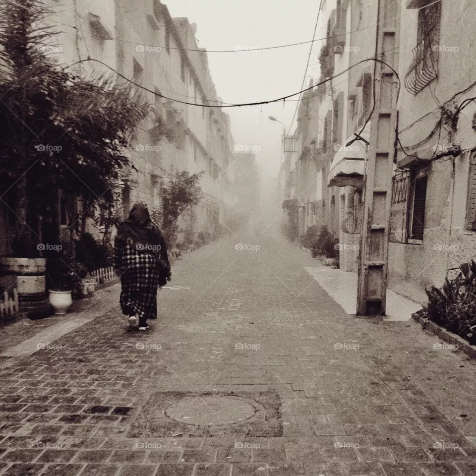 Foggy morning 