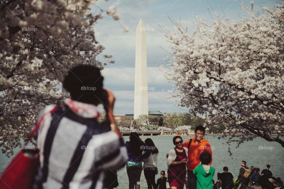 People, Festival, Adult, Group, Tree