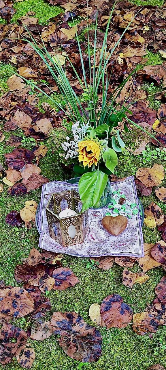 A metal candle holder, a paisley handkerchief and a wooden heart are on display on the lawn of the garden of the old castle of “Steinach” in “Lower Bavaria”, Germany. They are for sale at the “Market of Possibilities”. 2024. Hypnotic Productions
