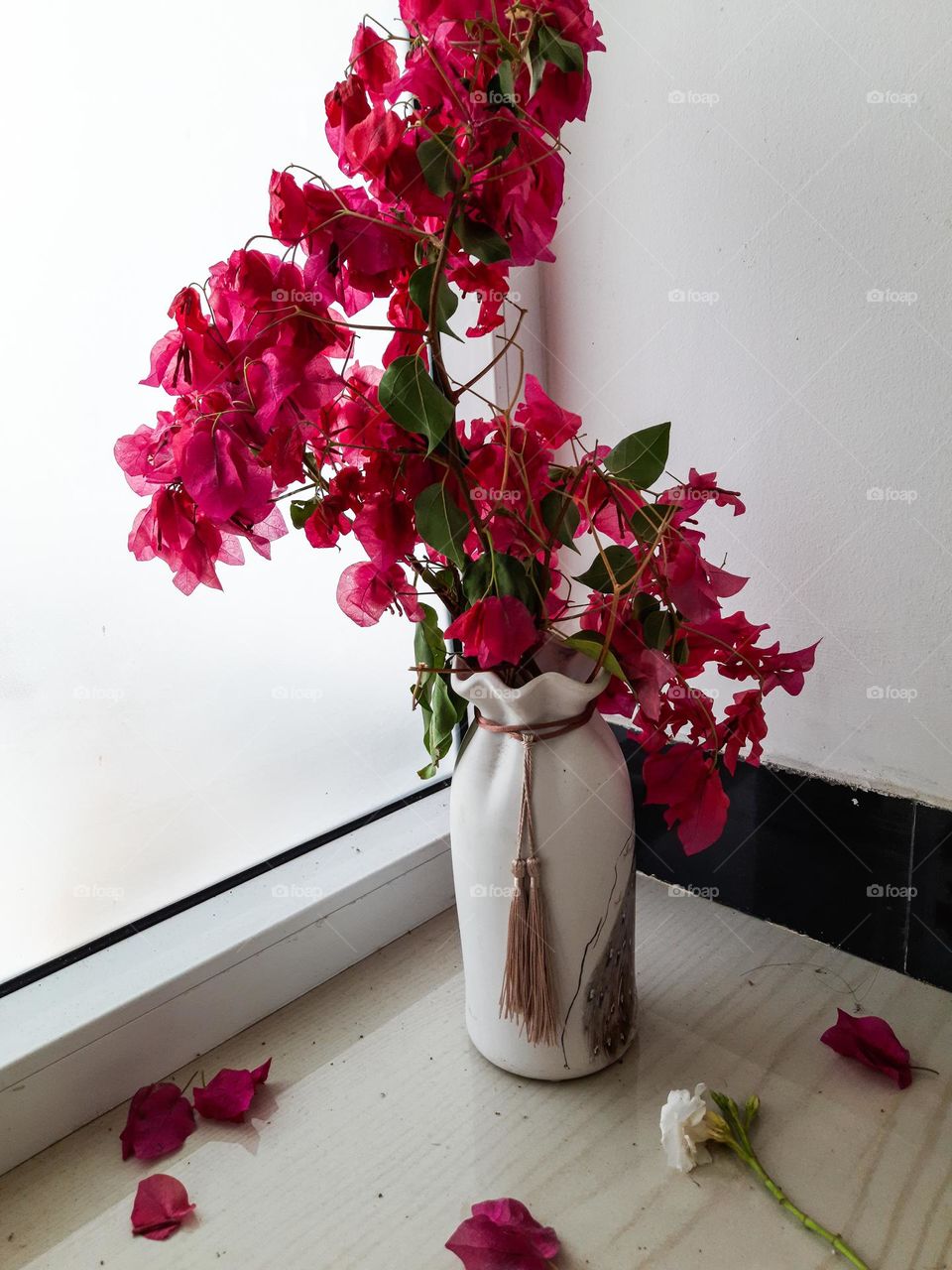 Flowers in Vase