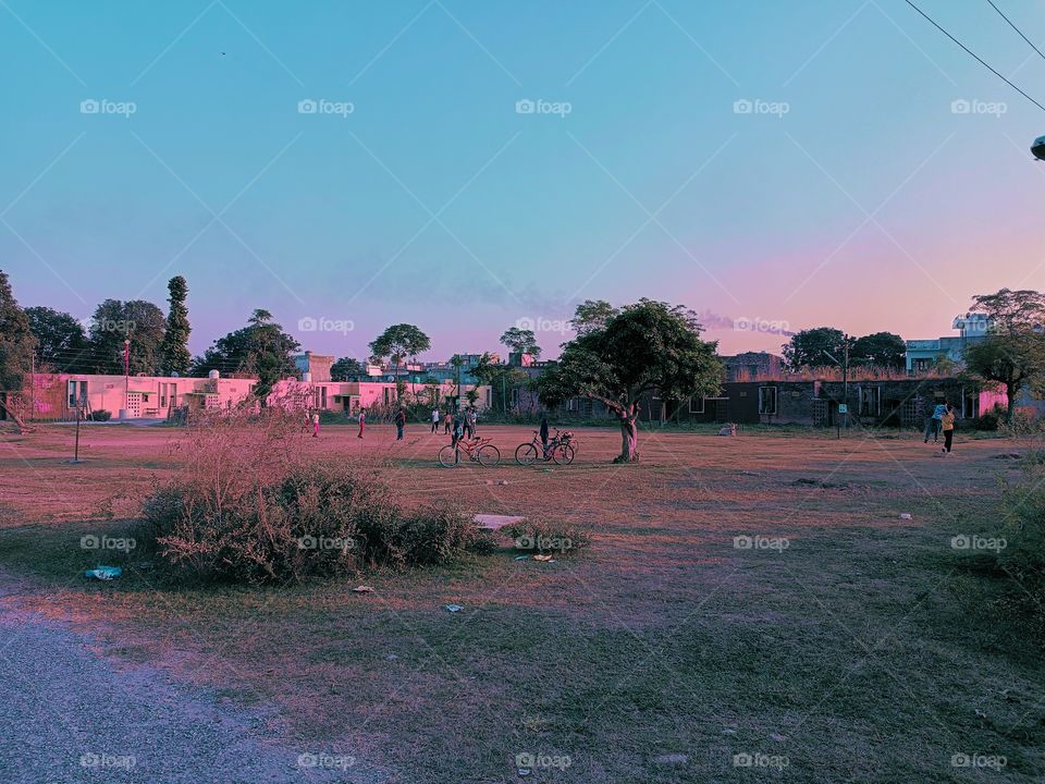 editors' choice: photo of the week