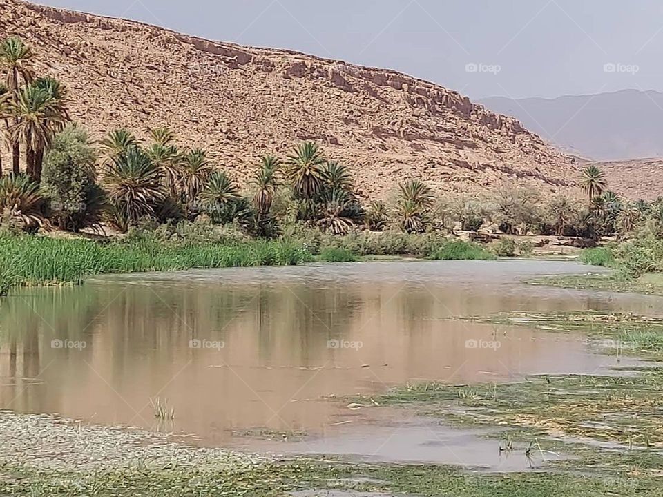 best river ghriss in tadighoust city