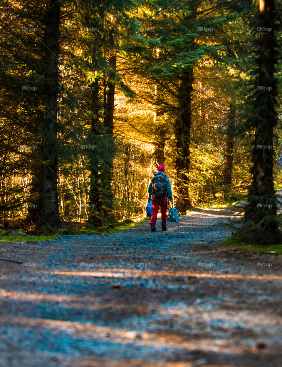 Person walking through trees