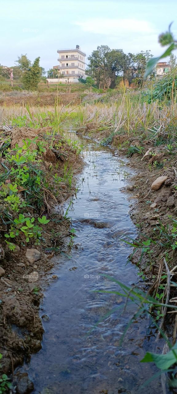 why of water 😂😂