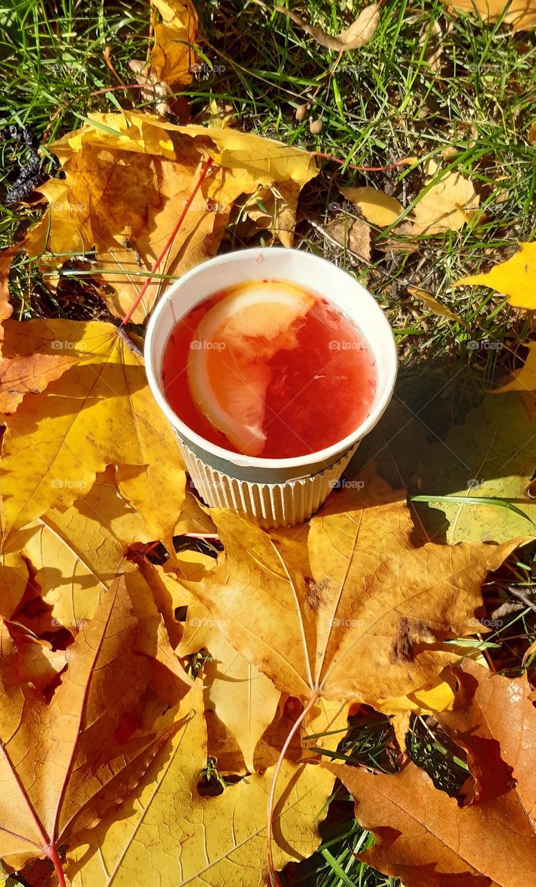 enjoying a cup of fruit tea in an autumn day