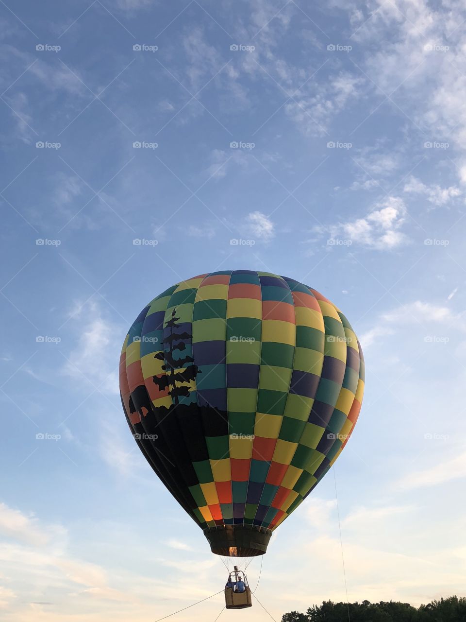 Balloon in the summer sky
